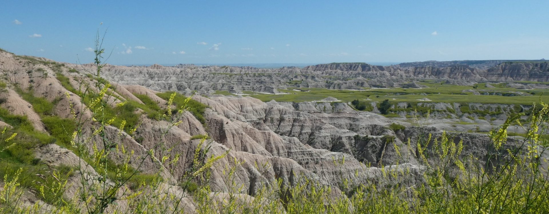 Gesellschaft für bedrohte Völker  Regionalgruppe Düsseldorf
